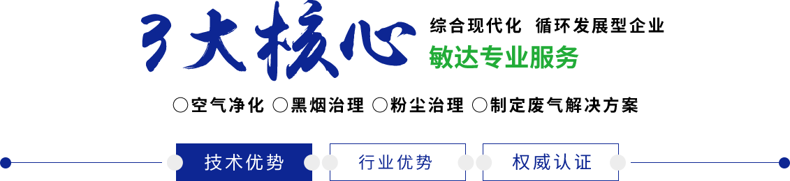 日逼鸡巴应用敏达环保科技（嘉兴）有限公司